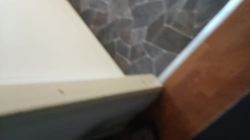 Review video